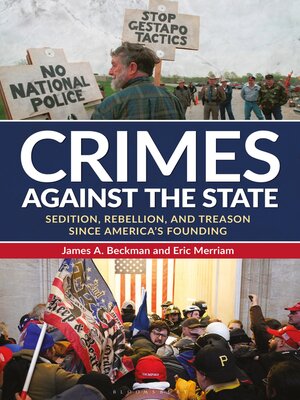 cover image of Crimes against the State
